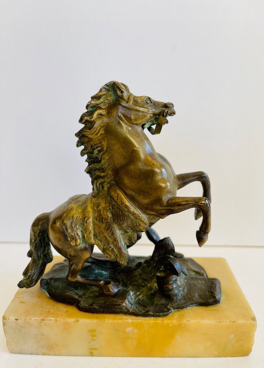 Cheval De Marly - bronze -photo-4